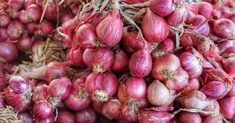 Bawang Merah Brebes Super